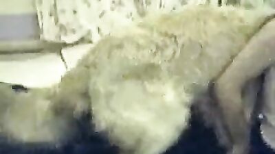 Girl playing dog: music video zoo porn