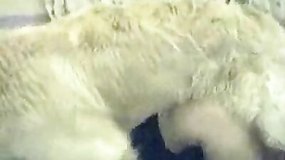 Girl playing dog: music video zoo porn