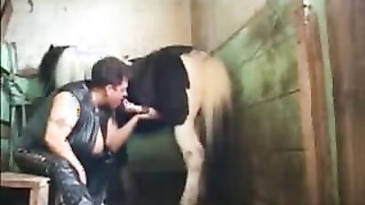 Bestiality sex id: zoo sex źwotniy