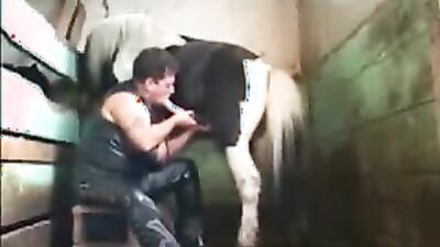Bestiality sex id: zoo sex źwotniy
