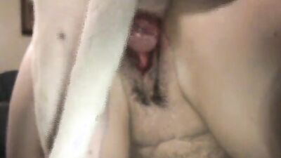 Dog sex porn: active dog porn