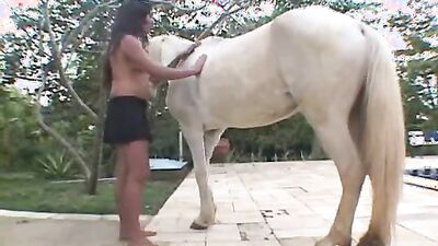 Dog get girl: zoophilia veronica silesto full videos