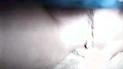 Animal porn: private anal zoo porn