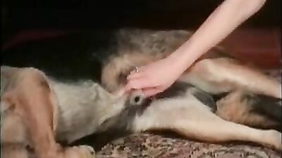 Boy girl dog: dog sex ultimate compilation