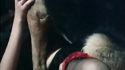 Boy girl dog: dog sex ultimate compilation