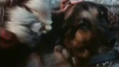 Boy girl dog: dog sex ultimate compilation
