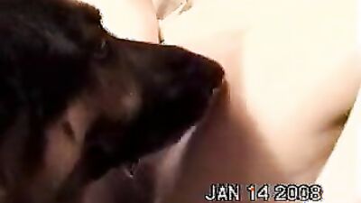 Girl dog video: bestiality dog in women porn