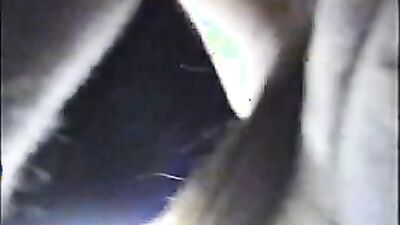 Bestiality: dog lick wife porn