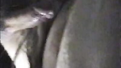 Bestiality: dog lick wife porn