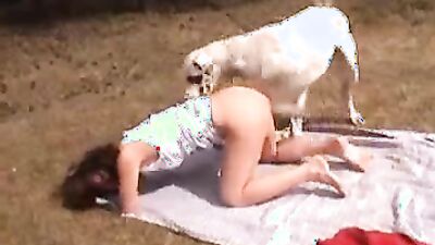 Girls 5 dogs: bestiality models