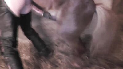 Dog sex girl: porn russian zoo sex dog