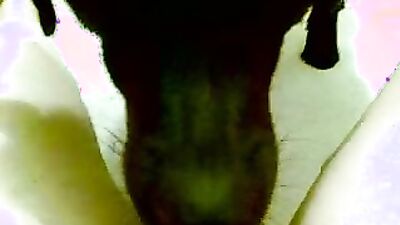 Bestiality games: porn zoo pet