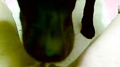 Bestiality games: porn zoo pet