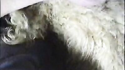 Dog girl porn: russian dog sex