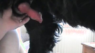 3d dog sex: bestiality video download