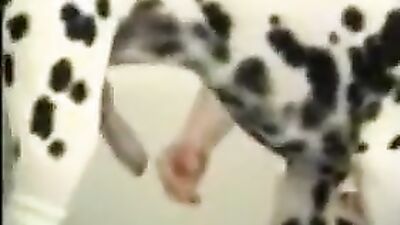 Bestiality xxx: zoo porn hentai manga