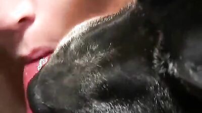 Animal sex: zoo porn ru