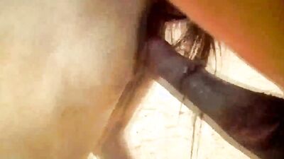 Animal porno: girl and dog sex 2026