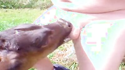 1 girl 5 dog: amateurs bestiality dog girls