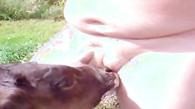 1 girl 5 dog: amateurs bestiality dog girls