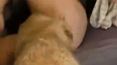 Dog pussy girls: animal zoo sex porno
