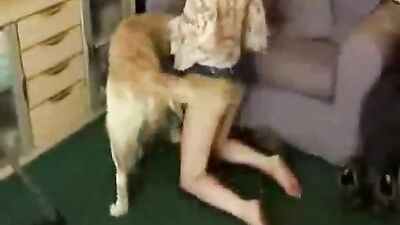 Dog pussy girls: animal zoo sex porno