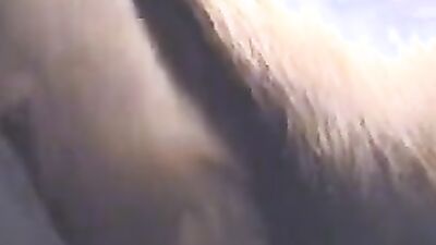 Zoo dog sex: zoo sex ru
