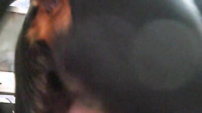 Bestiality video: bestiality donna