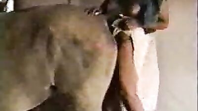 Animal cross porn: porn zoo videos for free to watch