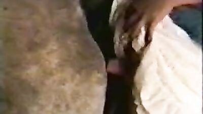 Animal cross porn: porn zoo videos for free to watch
