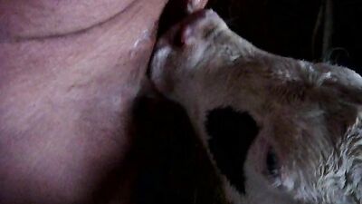 Zoo porno video: sucking dog dick porn
