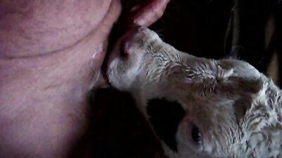 Zoo porno video: sucking dog dick porn