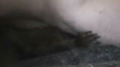 Girls 5 dogs: ai porno video zoo