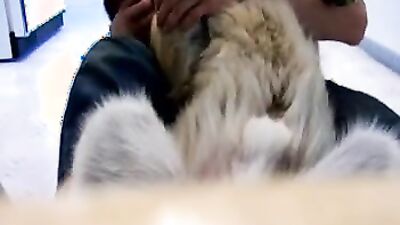Zoo porn compilation: teen with dog porn