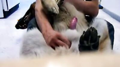 Zoo porn compilation: teen with dog porn