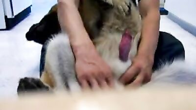Zoo porn compilation: teen with dog porn