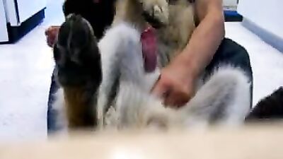 Zoo porn compilation: teen with dog porn