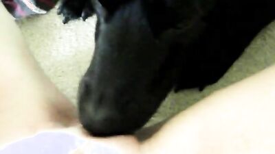Dog's porn: new dog porn comics