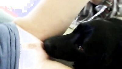 Dog's porn: new dog porn comics