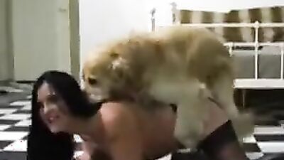 Zoophilia: bestiality web