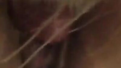 Zoophilia: bestiality web
