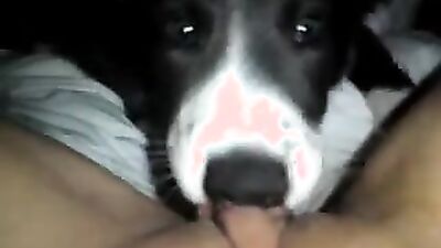 Dog sex video: zoophilia sex on video