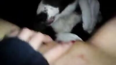 Dog sex video: zoophilia sex on video