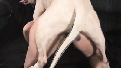 Girls s dogs: real zoo porno new video