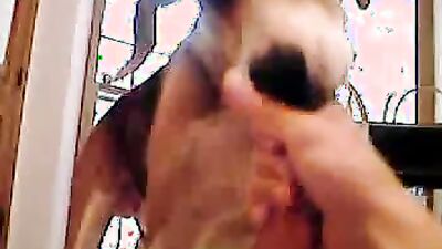 Dog girl anal: cum creampie zoo porn