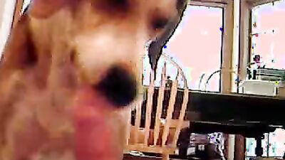 Dog girl anal: cum creampie zoo porn