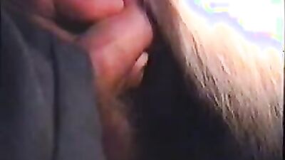 Dog licking girl: dog sex sluts