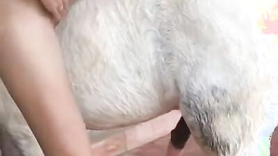 Girls 5 dogs: porn zoo pissing
