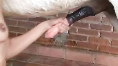 Girls 5 dogs: porn zoo pissing