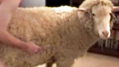 Animal cross porn: dog sex ai